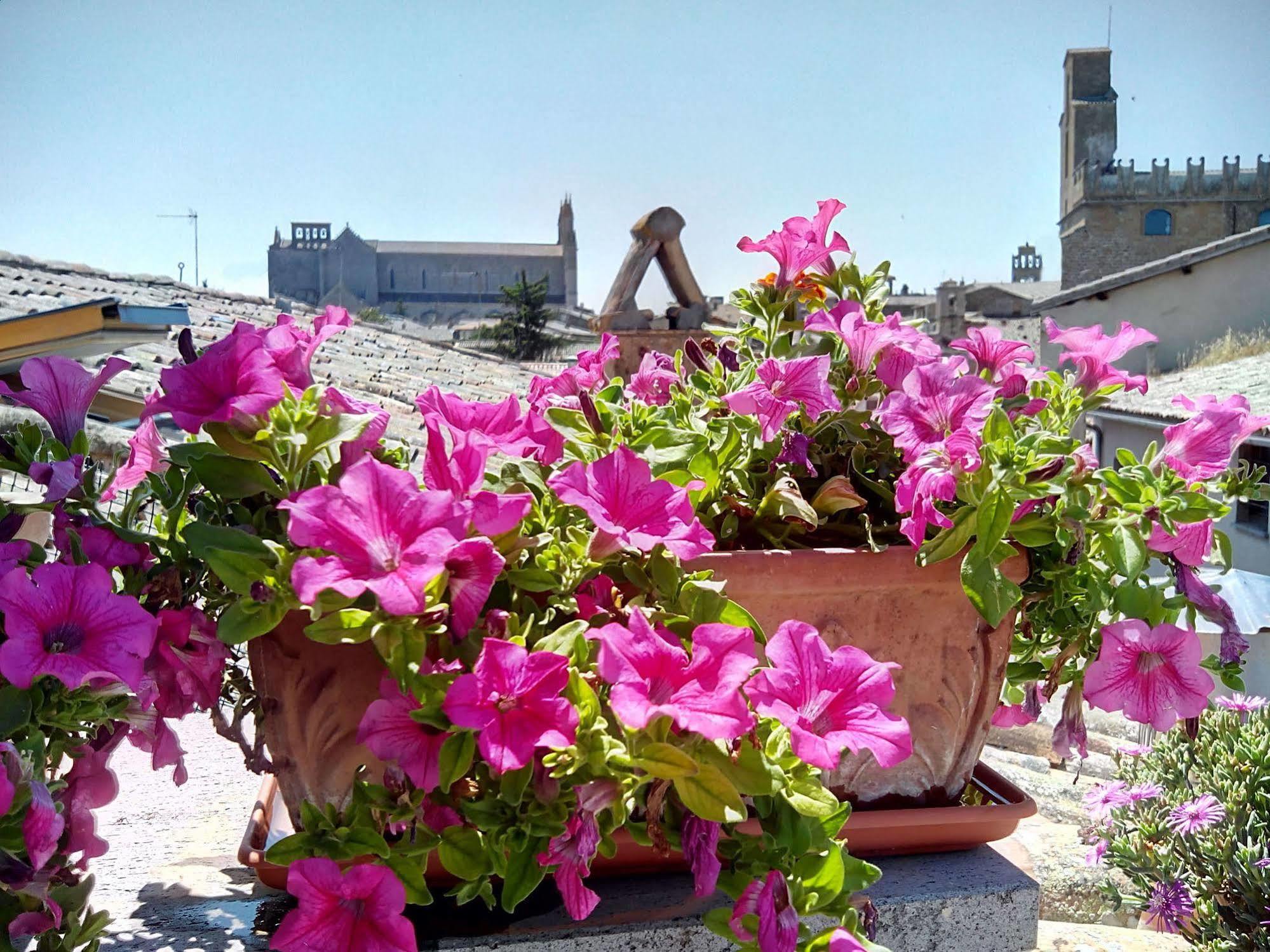 Orvieto In Terrazza Hotel Exterior photo