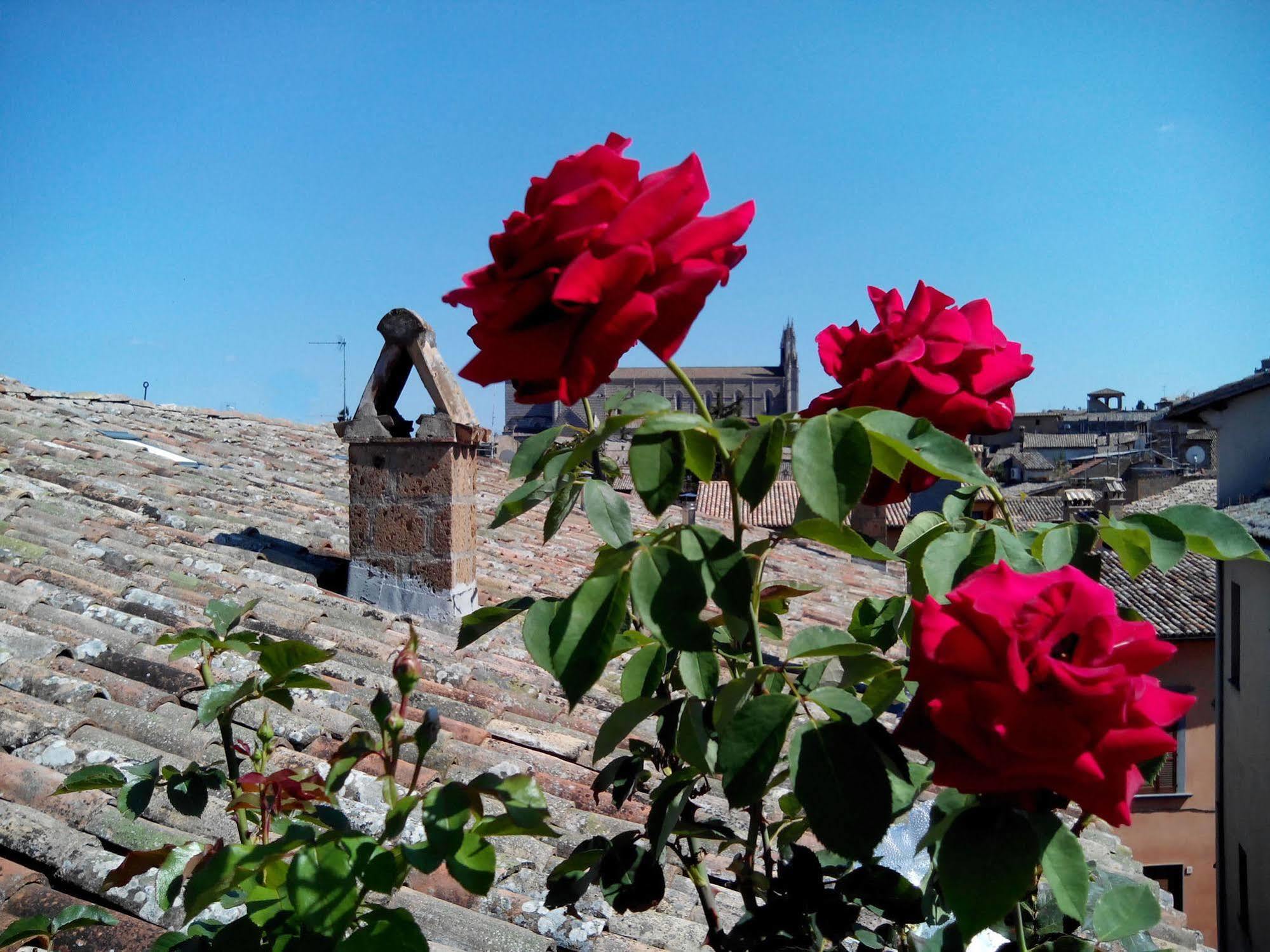 Orvieto In Terrazza Hotel Exterior photo